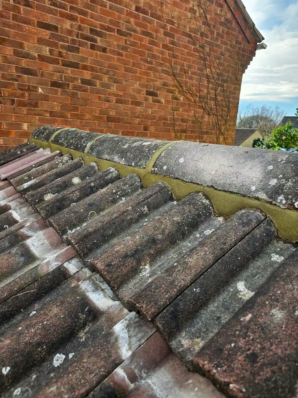 Roof Repairs